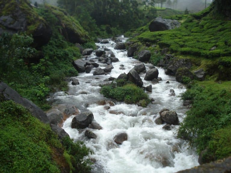 Top Best Things To Do In Munnar Munnar Insider Travel Blog