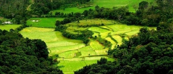 Coorg Or Munnar-Which Is Better For A Trip Now?