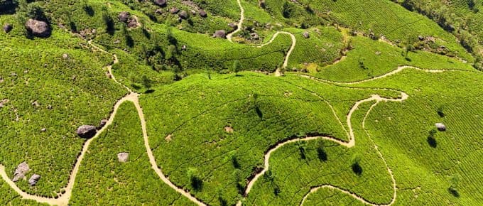 Mysore to Munnar-Distance, Taxi Fare, Travel Time & Sightseeing Tips