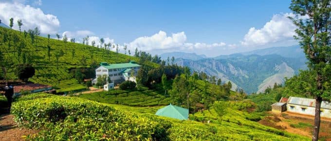 What Is Munnar Famous For-10 Reasons Why Tourists Love Munnar