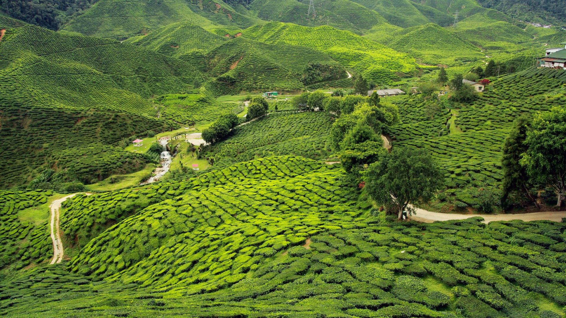 Misty Munnar Package