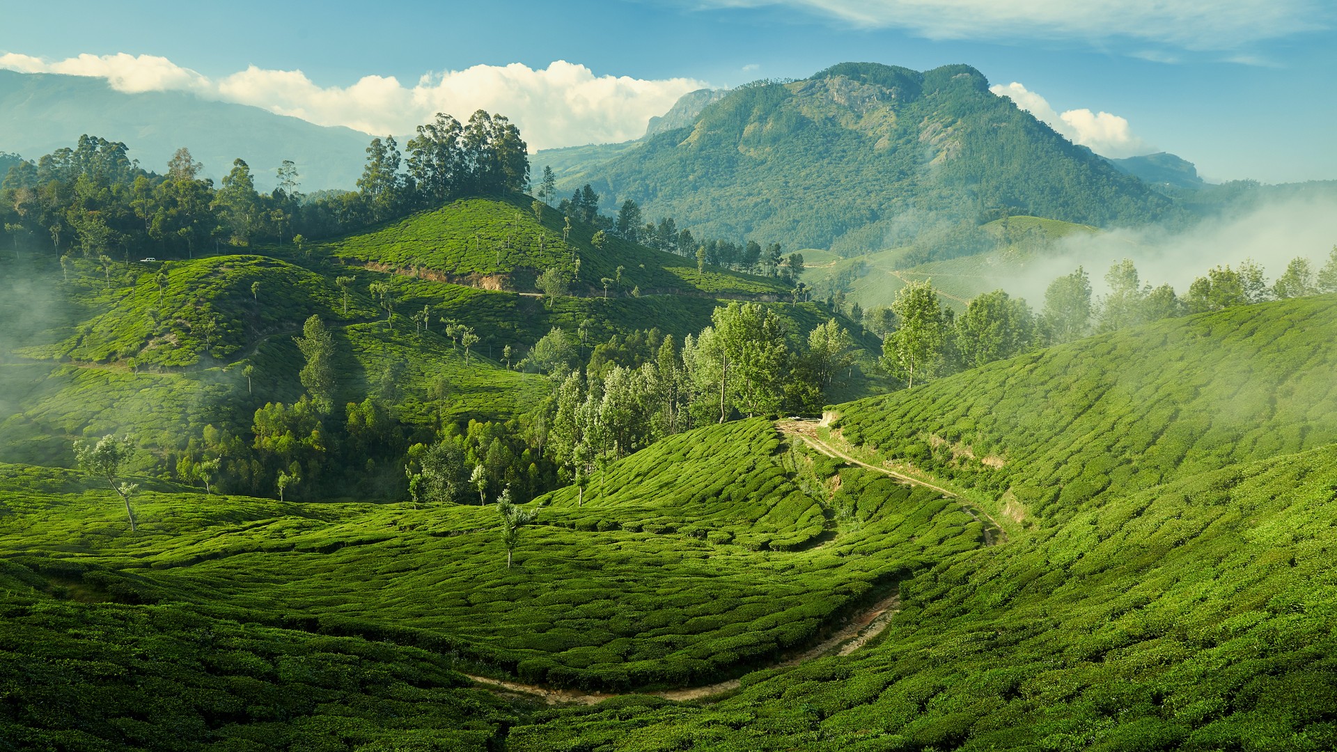 Misty Munnar Package - Image 1