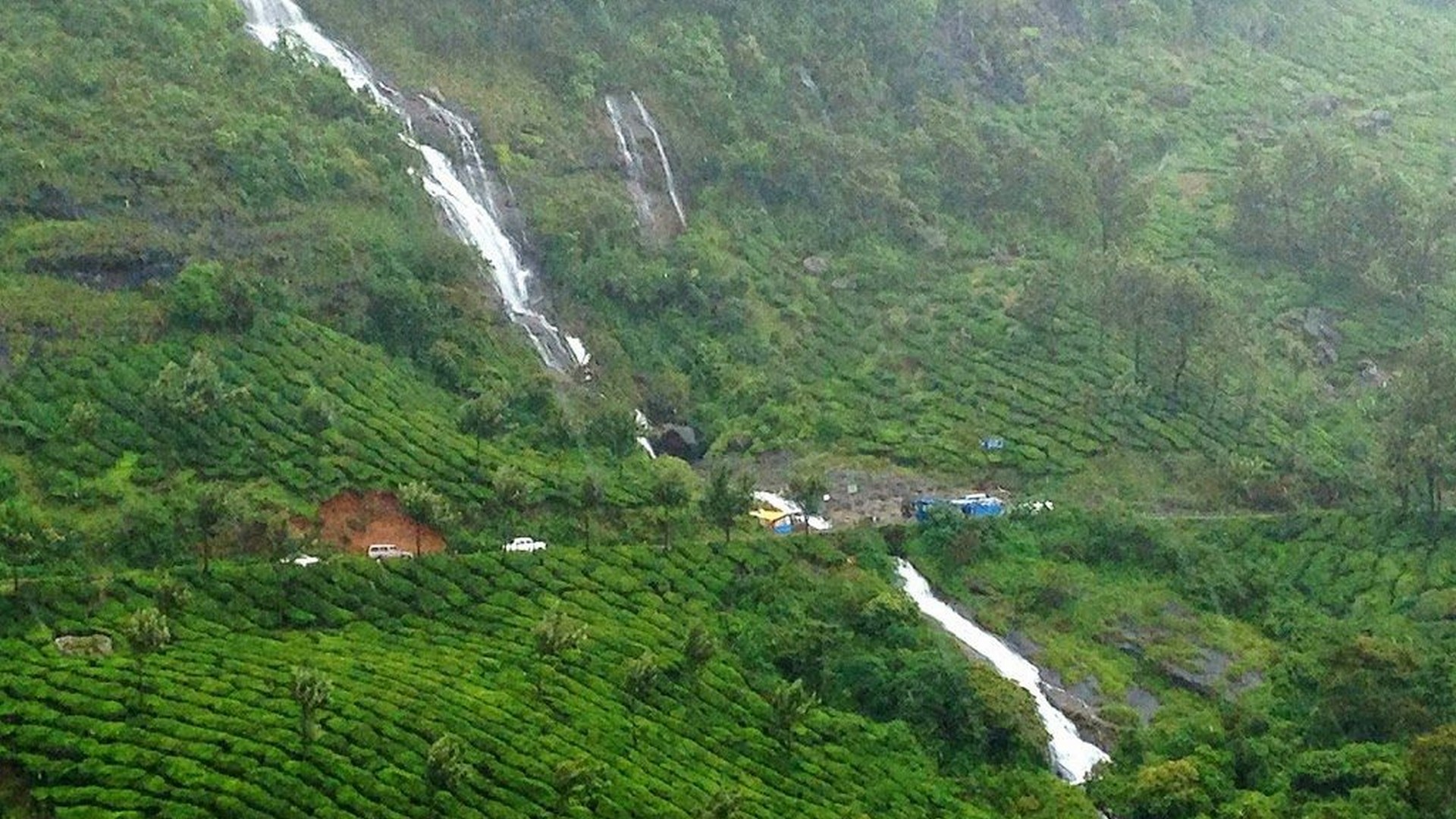 Misty Munnar Package - Image 6