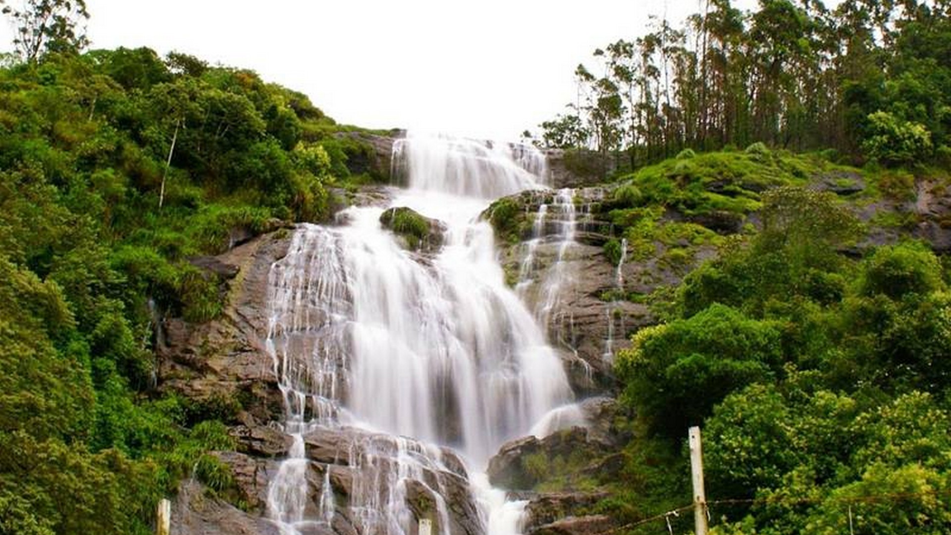 Misty Munnar Package - Image 9