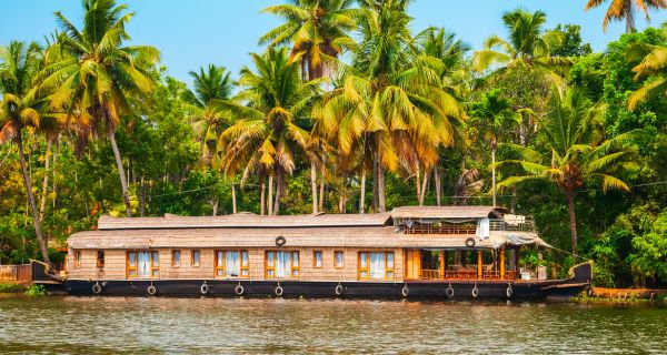 Exuberant Kerala - Image 4