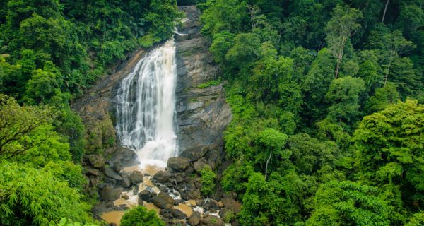 Honeymoon Special - Image 1