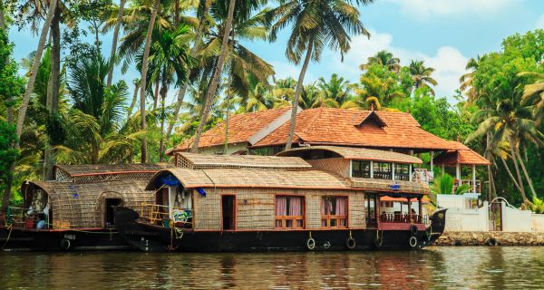 Honeymoon Special - Image 3