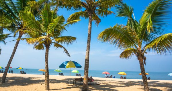 Honeymoon Special - Image 4