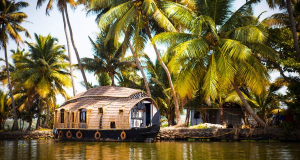 Exuberant Munnar and Kumarakom