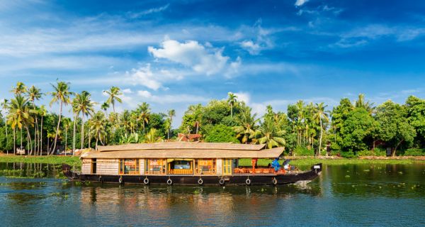 Exuberant Munnar and Kumarakom - Image 2