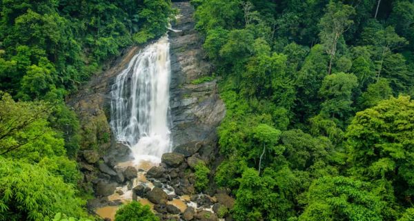 Unique Munnar - Image 3