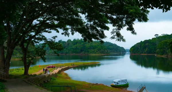 Munnar Tea Gardens & Thekkady Tree House - Image 1