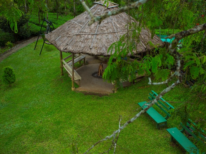 dream-catcher-plantation-resort