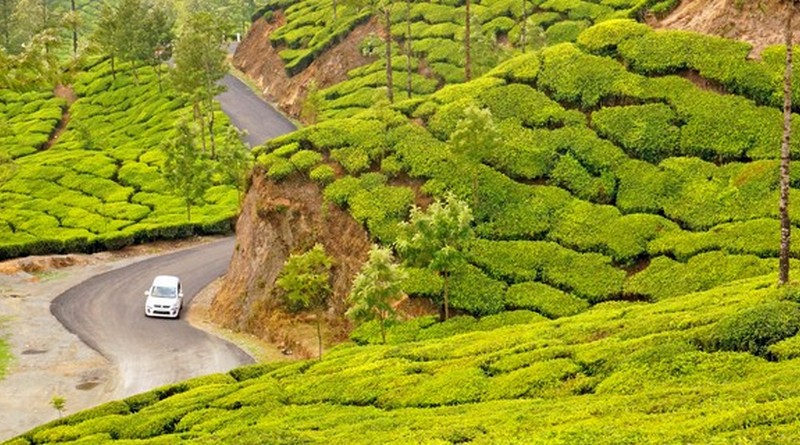 simply-munnar