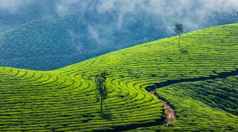 simply-munnar