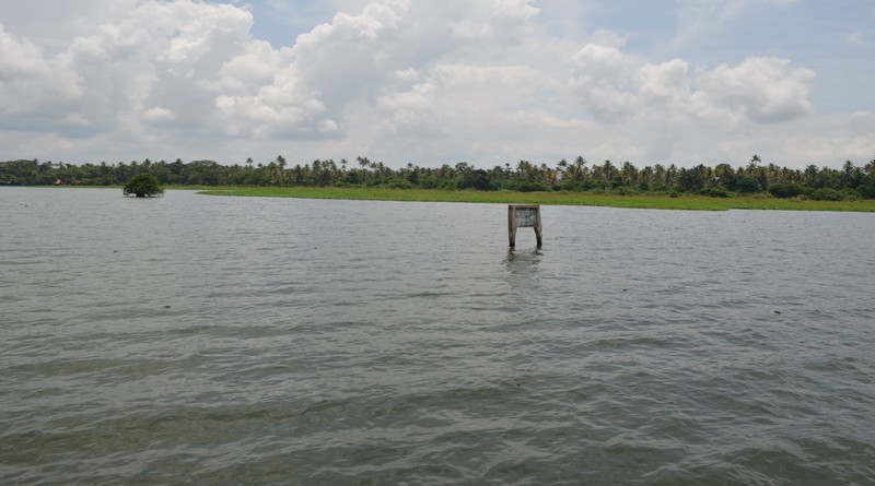 grand-tour-of-munnar-and-backwaters