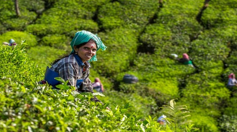 simply-munnar