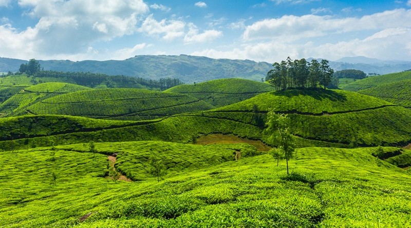 munnar-honeymoon-package