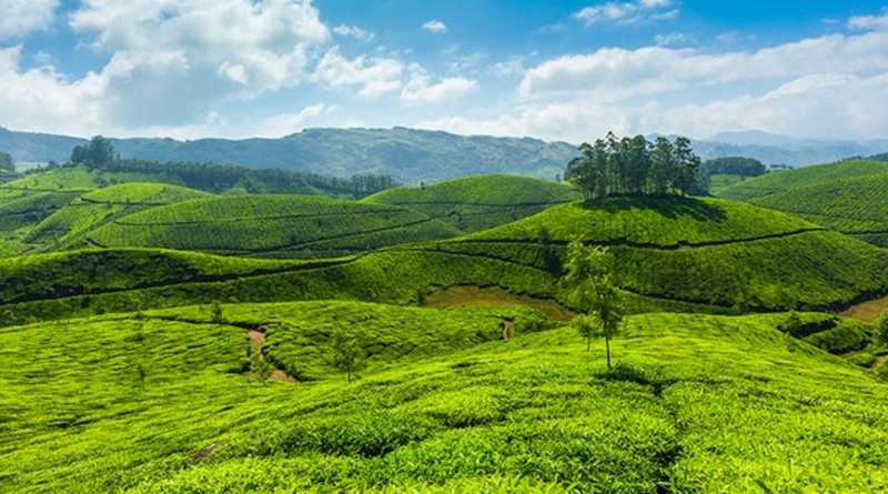 attractive-munnar-with-marari