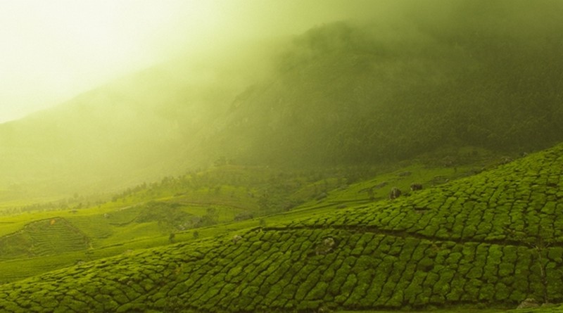 simply-munnar