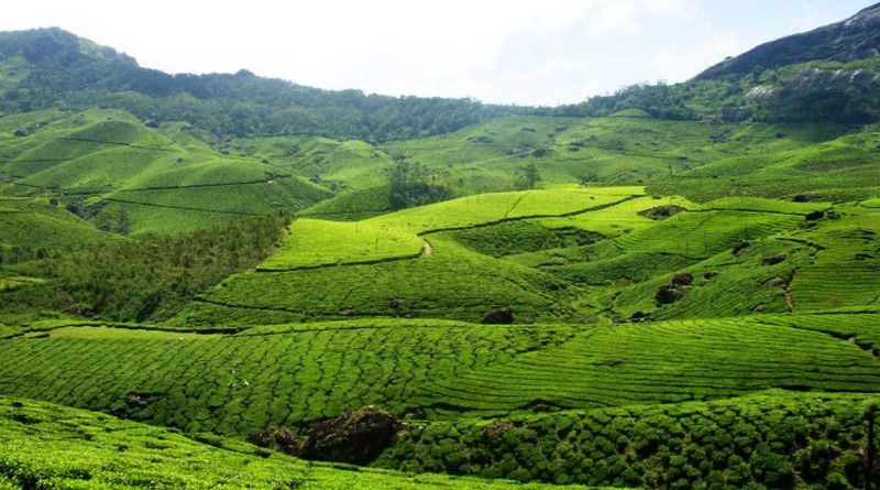 munnar-backwaters-and-beach-holiday