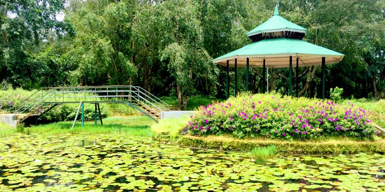 Blossom Park Munnar