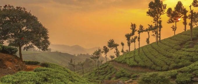 Munnar Sunset