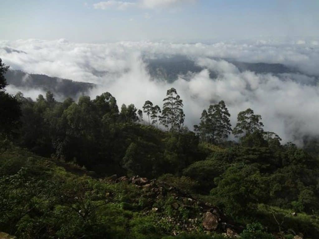 Lockhart Gap Munnar 2022 - Best Time to Visit & Entrance Fees | Munnar ...