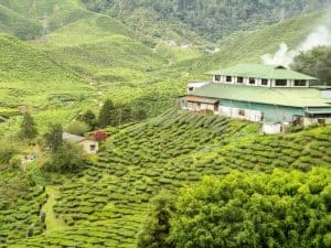 Kannan Devan Tea Museum Munnar- Timings, Entry Fee, Visiting Hours & Photos