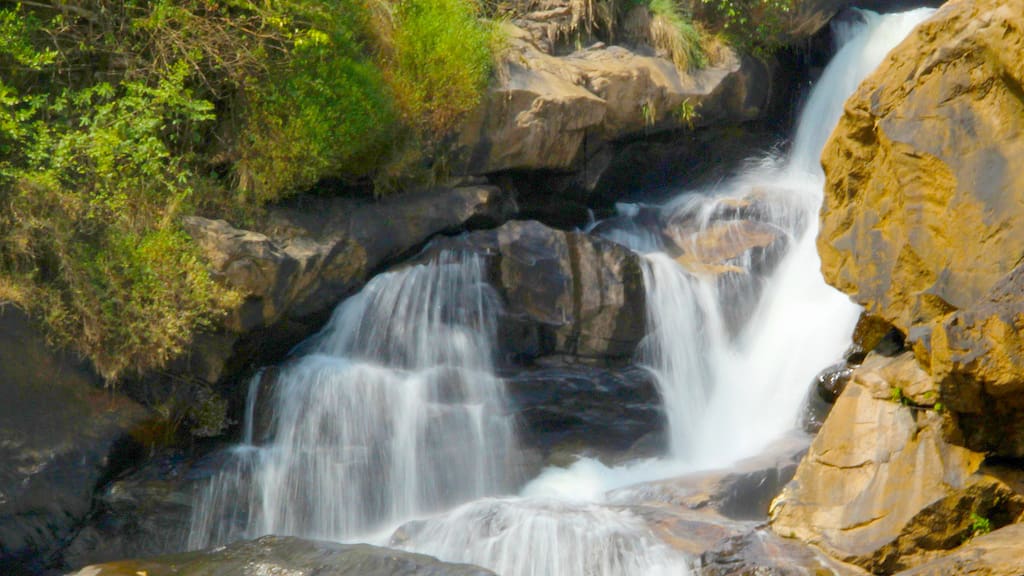 Attukad Waterfalls