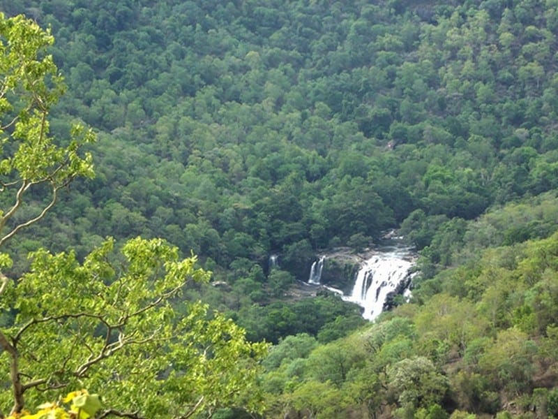 thoovanam-waterfalls-top-view