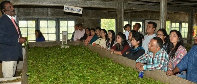 Demonstration at Lockhart Tea Factory and Museum in Munnar