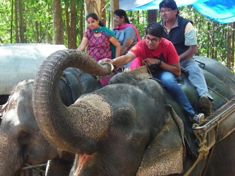 carmelagiri-elephant-park-munnar