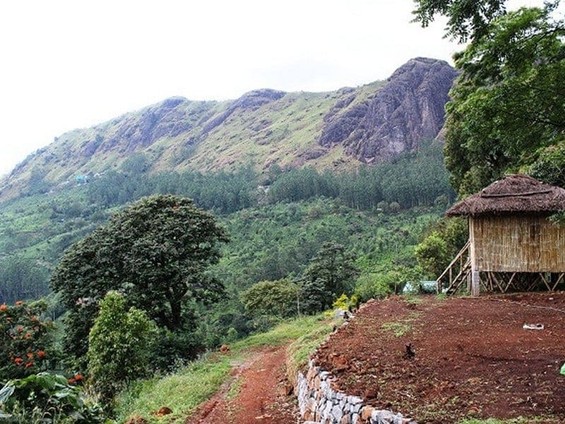 Base Camp for Chokramudi Trekking