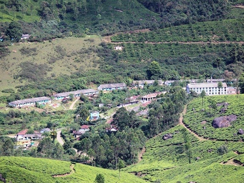 View of Tea Estates from Chokramudi