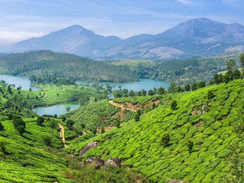 View of Munnar 