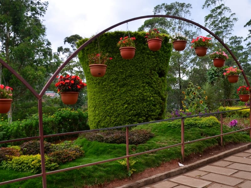 Rose Garden Munnar-Entry Fee, Timings, Images & Best Time to Visit (Updated)