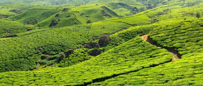 best time to visit Munnar