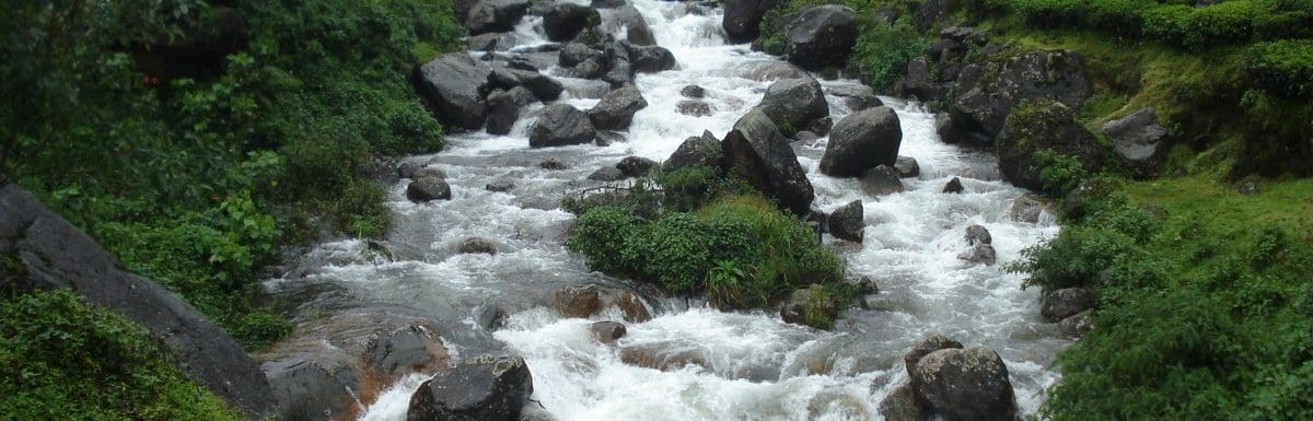 Munnar in Summer