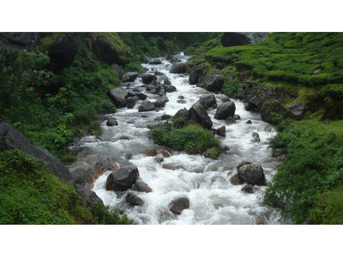 Munnar in Summer