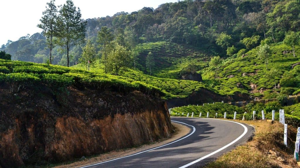 cochin to munnar places to visit