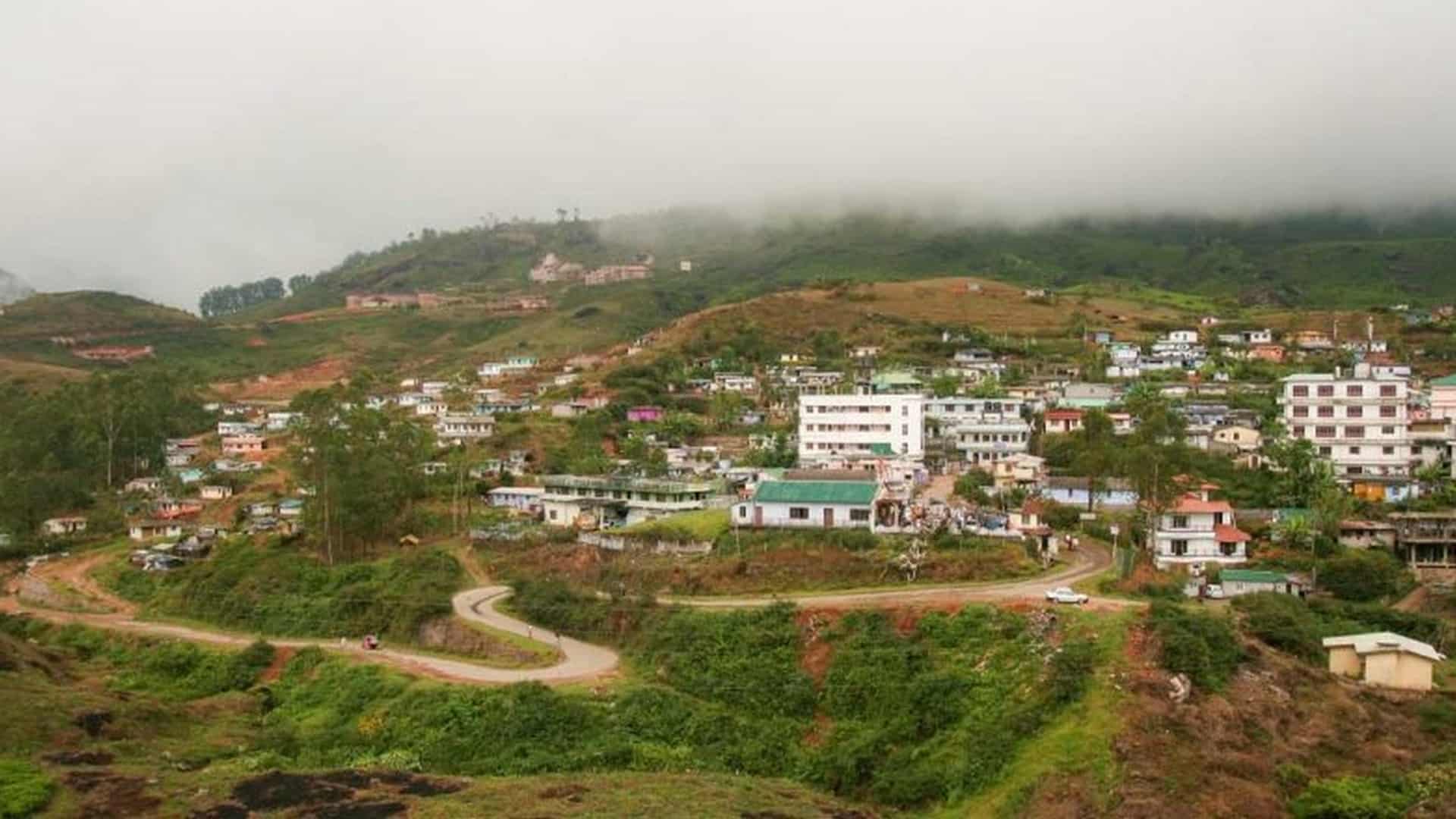 hotels-in-munnar-town