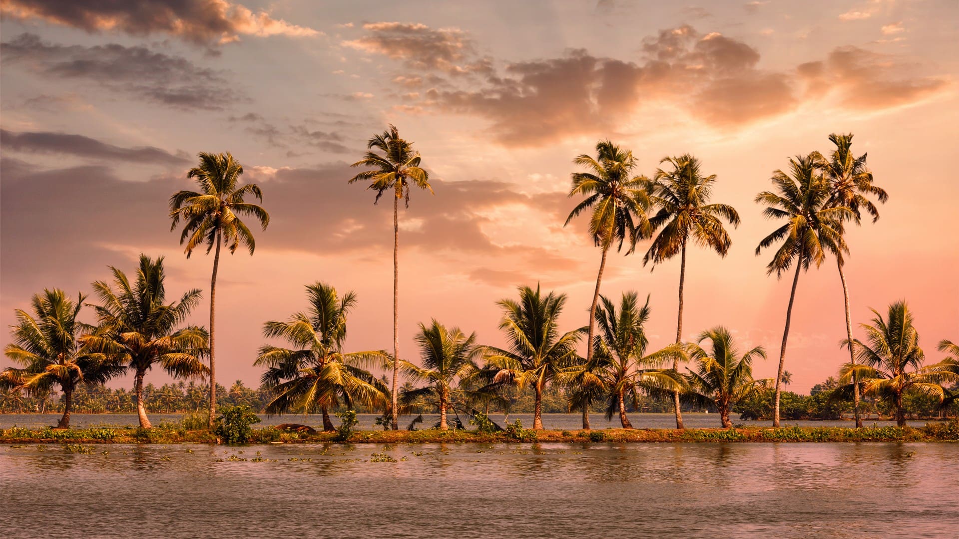 kerala-in-may