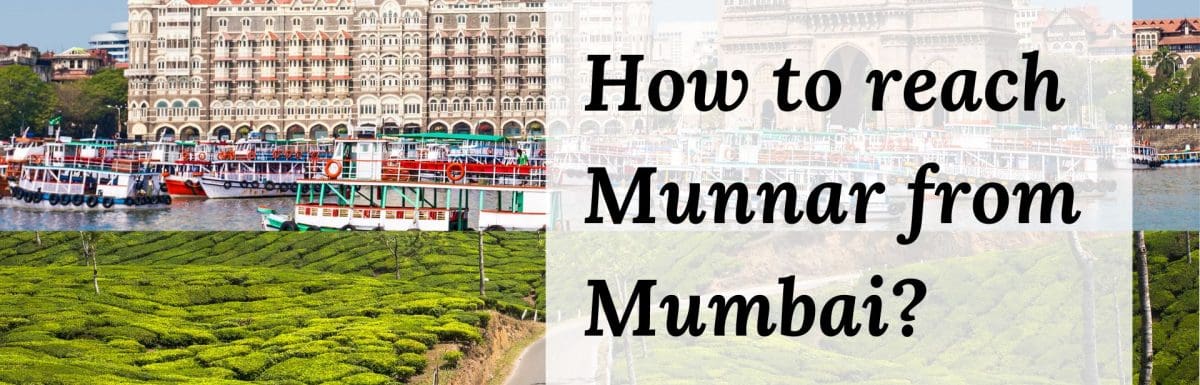 How To Reach Munnar From Mumbai By Flight, Train, Car & Bus