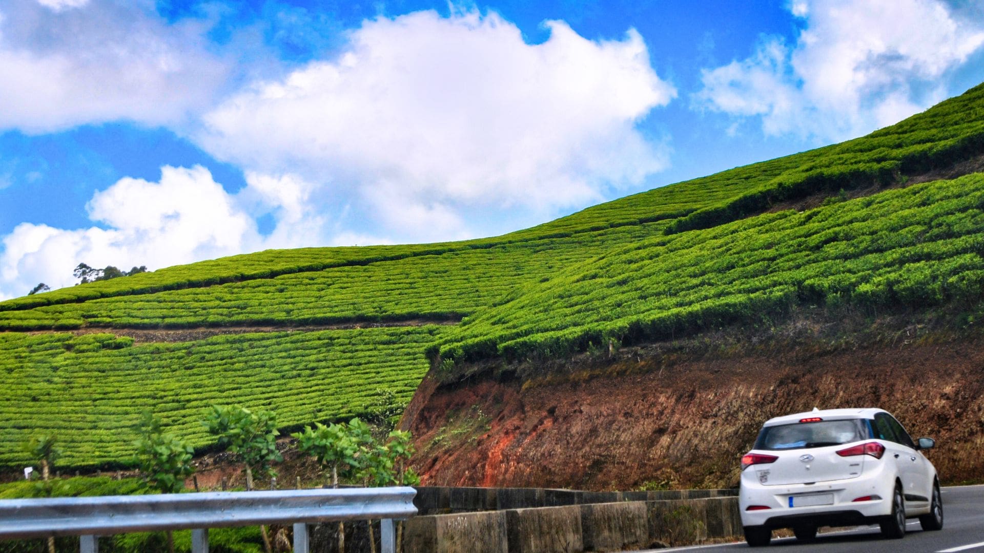 palakkad-to-munnar