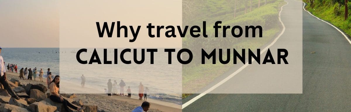 Getting From Calicut To Munnar By Bus, Taxi, Train & Flight