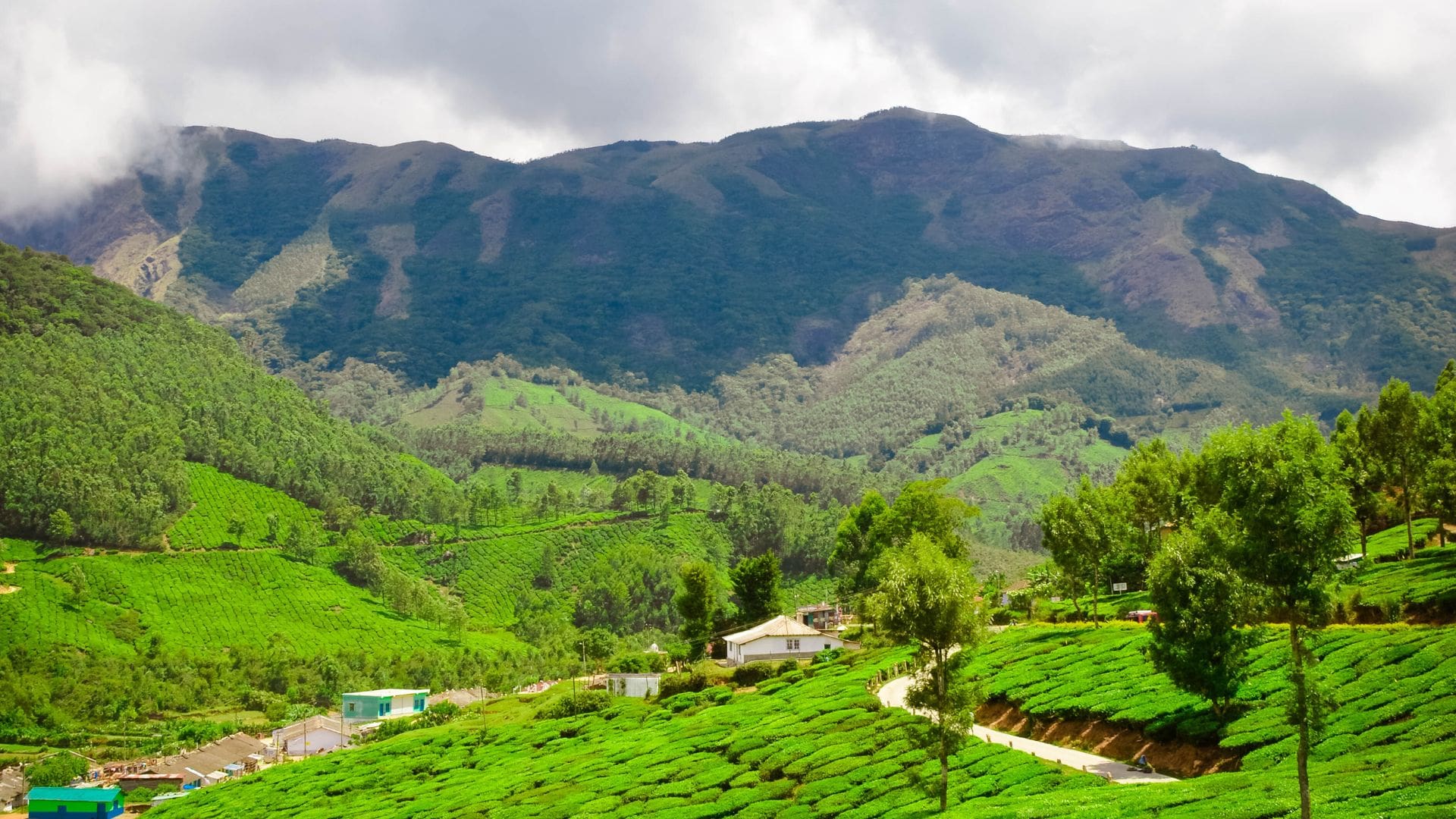 Photo Point Munnar Guide: Getting There, Activities, Tips & More